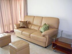 Oleander Towers (D12), Apartment #608549051